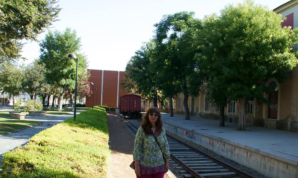 Antigua Estación de ferrocarril (En el Parque de Gasset)