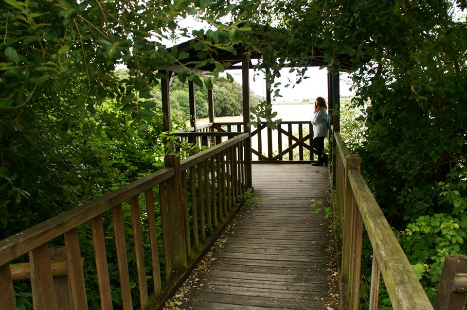 Mirador.
