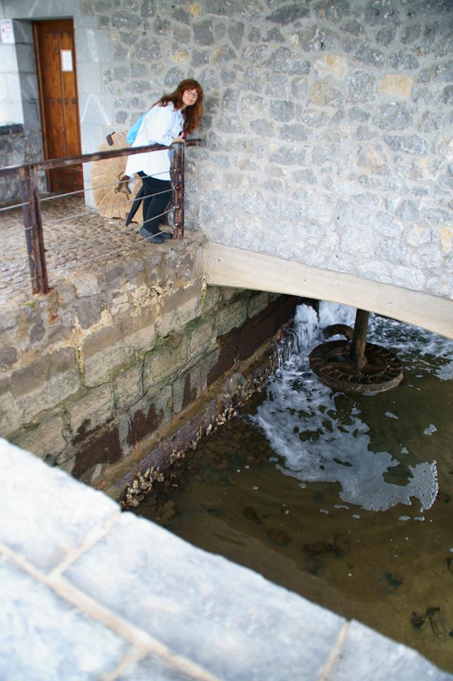 Rueda hidráulica.
