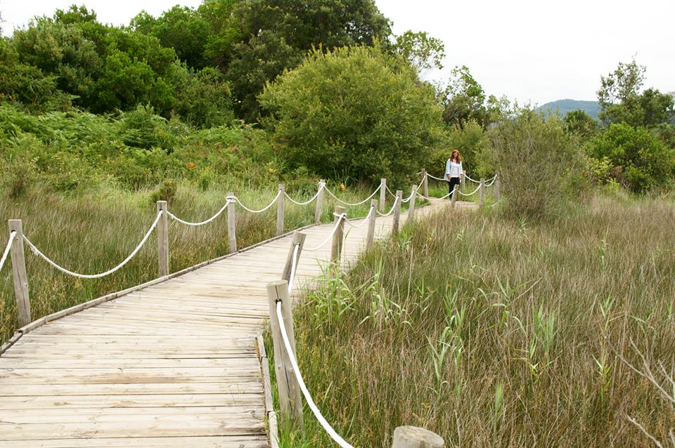 Parque protegido.