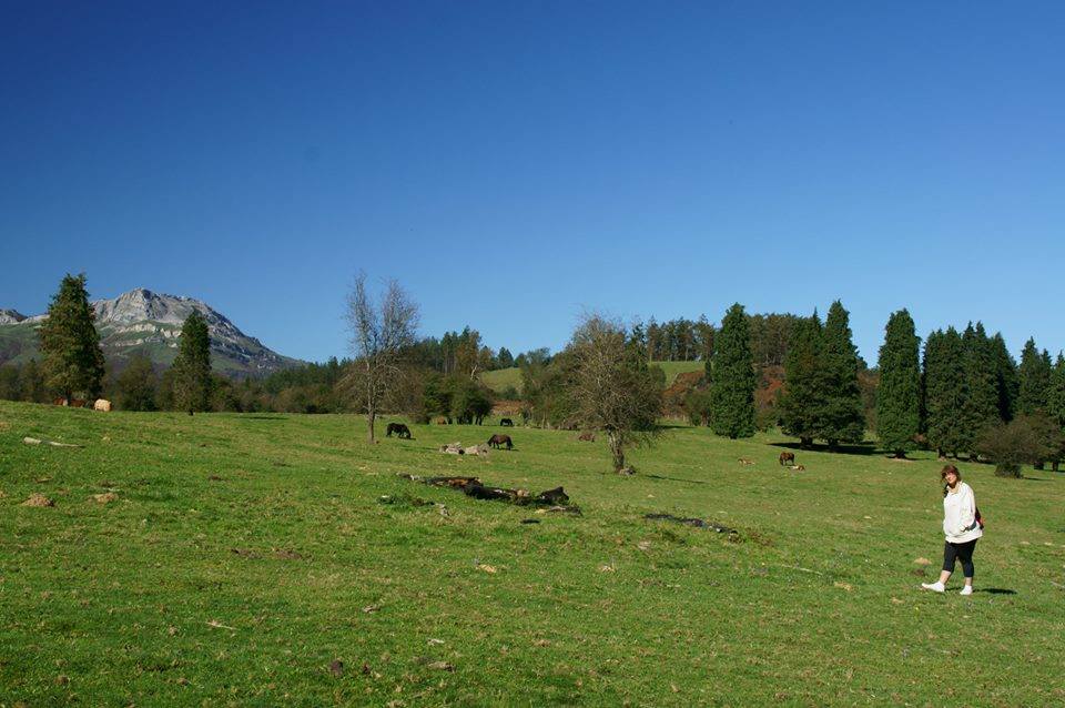 EL BOSQUE DE HAYAS DE OTZARRETA-OCTUBRE 2017