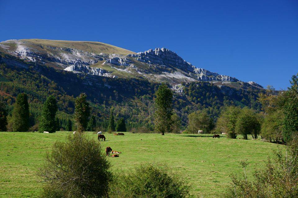 UNA DE LAS ZONAS MÁS BONITAS DEL PARQUE DEL GORBEA