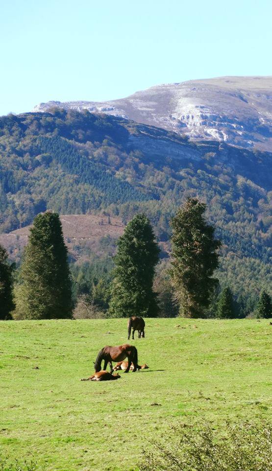 EL PARAJE ES ESPECTACULAR