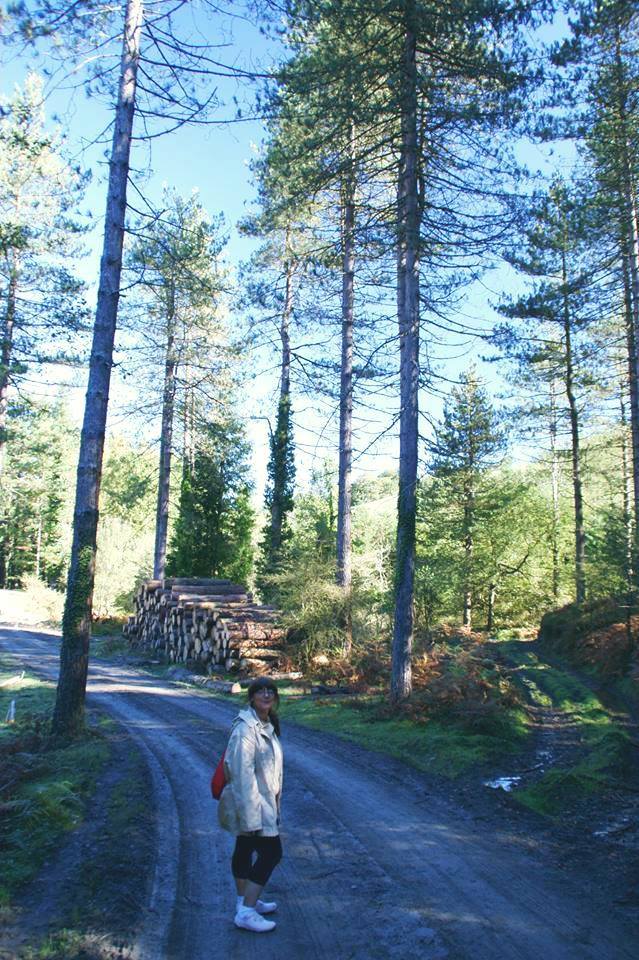 AQUÍ EN ESTOS PARAJES HABITA BASAJAUN, SEÑOR DEL BOSQUE