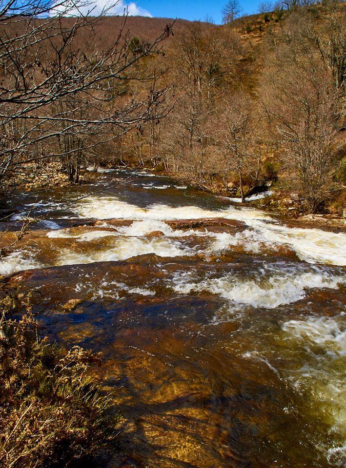 CAUCE DEL RÍO