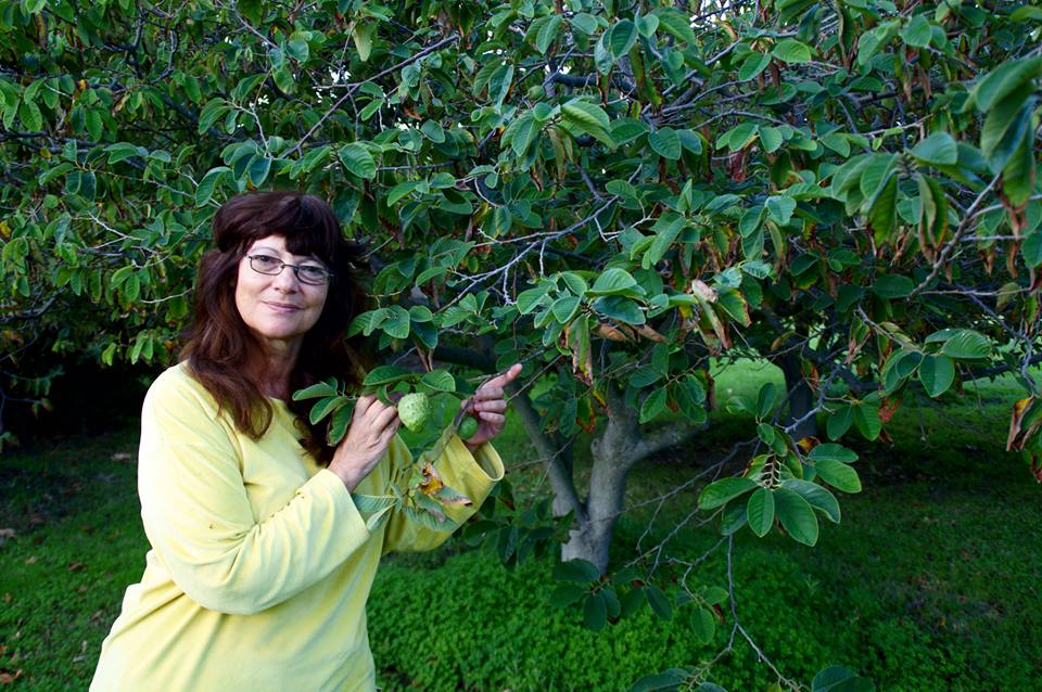 FRUTA JUGOSA DE INVIERNO